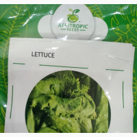 Saladi Lettuce Seeds - High Quality and Fast Growing