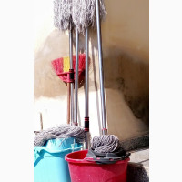 House and Office Cleaning