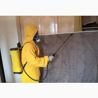 Odourless Fumigation Service