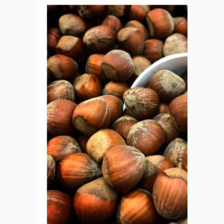 Hazel Nuts Packed With Vitamin E, Protein, Dietary Fibre 250g