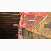 Jupiter Tall Tublar Batteries