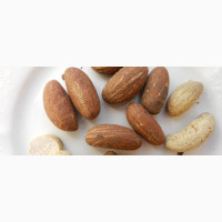 Bitter Kola - Quality Variety for Sale