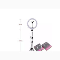 10 Inches Ring Light With Phone Holder Tripod Stand