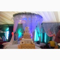 Glorious Infinity Global Canopy Rental Services
