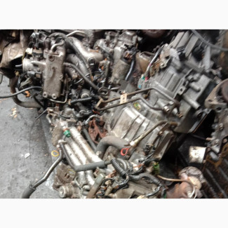 Suzuki Engine Motor