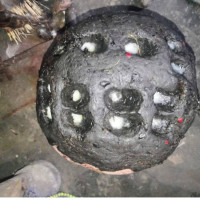 The best powerful spiritual herbalist man in Nigeria