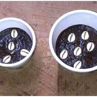 The best powerful spiritual herbalist man in Nigeria