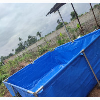 Tarpaulin Fish Pond Durable