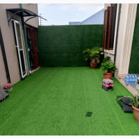 Artificial Carpet Grass - Dubai Standard