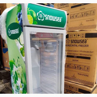 Standing Display Fridge Single Door