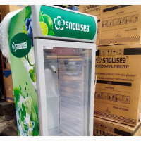 Standing Display Fridge Single Door