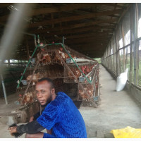 Bird Pen Attendant - Full-Time Job