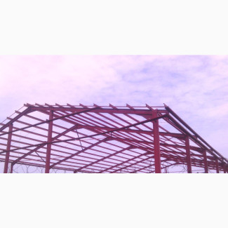 H Beam/ Steel Construction/ Metal Fabrication/Whare House
