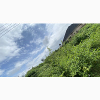 Biu Estate Land with C of O - 950sqm