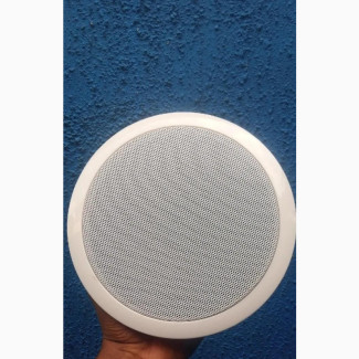 Ceiling Speaker