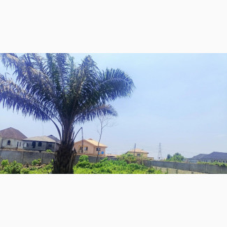 Greenville Estate: Buy and Build Land with C of O