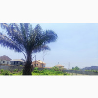Greenville Estate: Buy and Build Land with C of O
