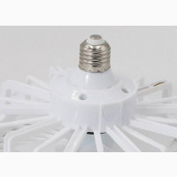 Ceiling Fan With Light