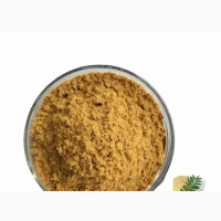 Tongkat Ali Extract Powder - 100grms