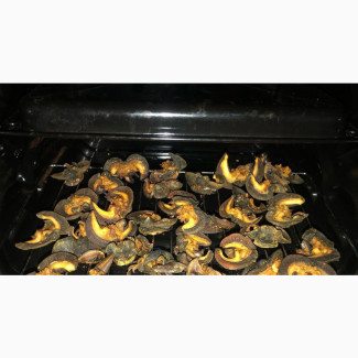 Freshly Washed and Oven Dried Snails