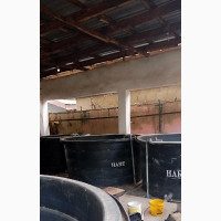 5000/Lit Hart Fish Pond