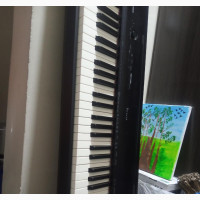 Casio Privia Px - 150 Weighted Keys