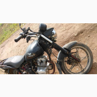 Denstar Taurus 2022 Black