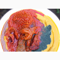 Urgent Job Opening for Experienced Yoruba Cooks in Port Harcourt