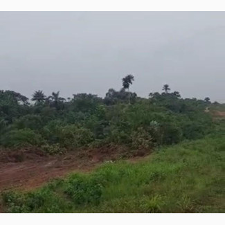 Buy 2 Plots and Get 1 Plot Free in Ode-Omi Ibeju Lekki Lagos