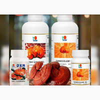 Reishi Gano RG And Ganocelium GL (The Powerful Duo)