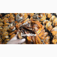 Smoke Fish from Thailand - Enhance the Flavor of Your Food