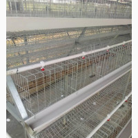 Semi Automatic Imported Layers Cage