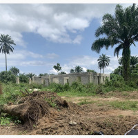 Buy and Build At