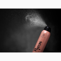 Seal It Long Wear Makeup Protection Mist Spray