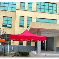 Foldable Canopies