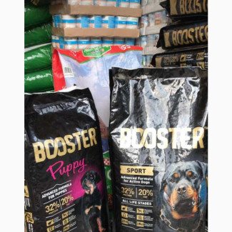 Booster Crunches