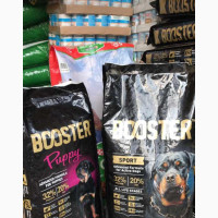 Booster Crunches