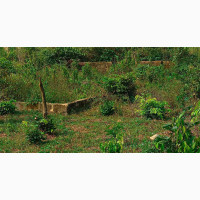 Land for Lease