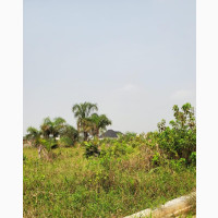 Valentine Promo: 20% Discount on Residential Land