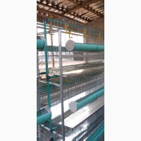 H Type Battery Cage for Layers