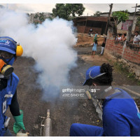 Fumigation Expert You Need Is Closer Than You Expected