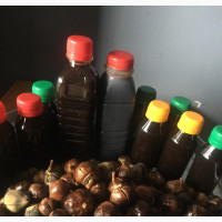 Gorotula Seeds and Syrup