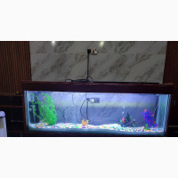 Aquarium Interior