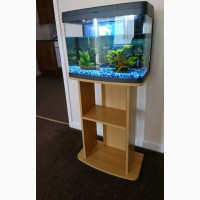 Aquariums And Water Bubbles