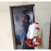 Effective Roach Extermination Service