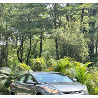 Hyundai Elantra GLS Automatic 2011 Gray