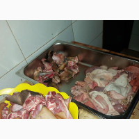 Dried Smoked Catfish, Shared RAM and Goat, Snails