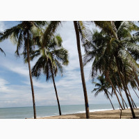 Beachfront Land for Sale in Ibeju Lekki
