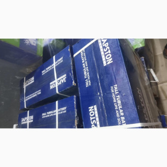 Japson 220ah 12v Tubular Battery