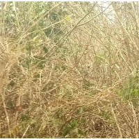 Affordable Land for Sale